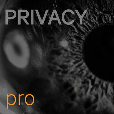 Privacy Briefing
