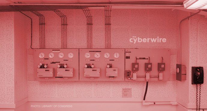 The CyberWire Daily Podcast 12.30.16