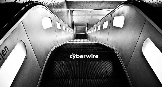 The CyberWire Daily Briefing 1.29.19