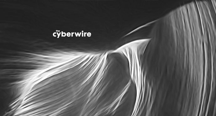 The CyberWire Daily Briefing 2.20.19