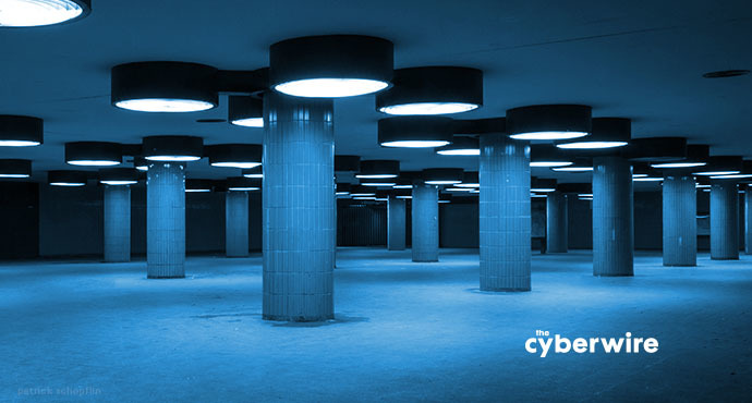 The CyberWire Daily Podcast 3.7.19