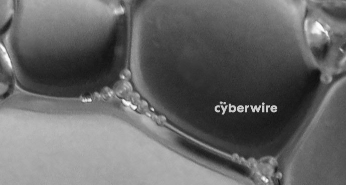 The CyberWire Daily Briefing 6.18.19