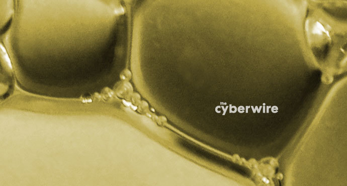 The CyberWire Daily Podcast 6.18.19
