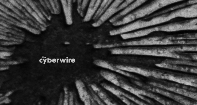 The CyberWire Daily Briefing 7.25.19