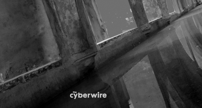 The CyberWire Daily Briefing 9.3.19